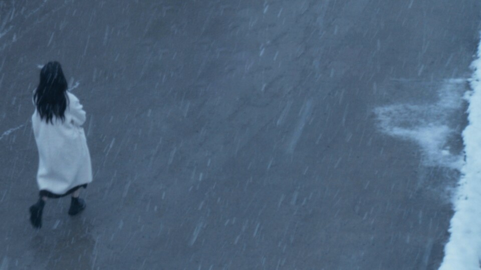 黑苹果强制关机导致硬盘挂在失败问题